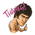 Bruce Lee Sticker 4