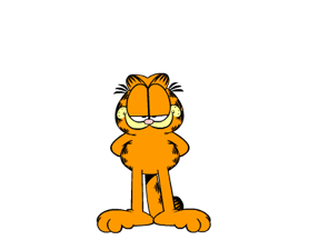 Garfield matricák 12