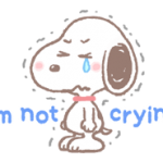 Stiker Snoopy indah 2 2